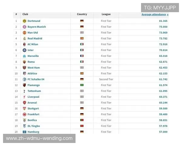 英超球队球迷数量排名